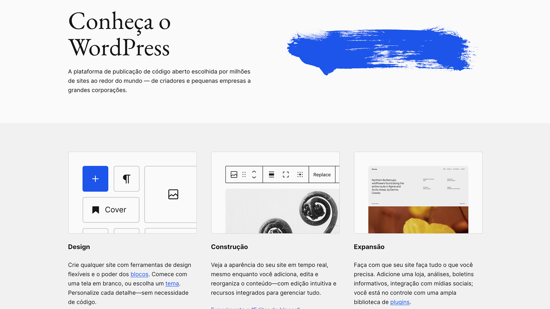 WordPress