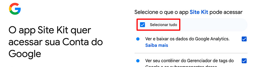 Configurar site kit google analytics