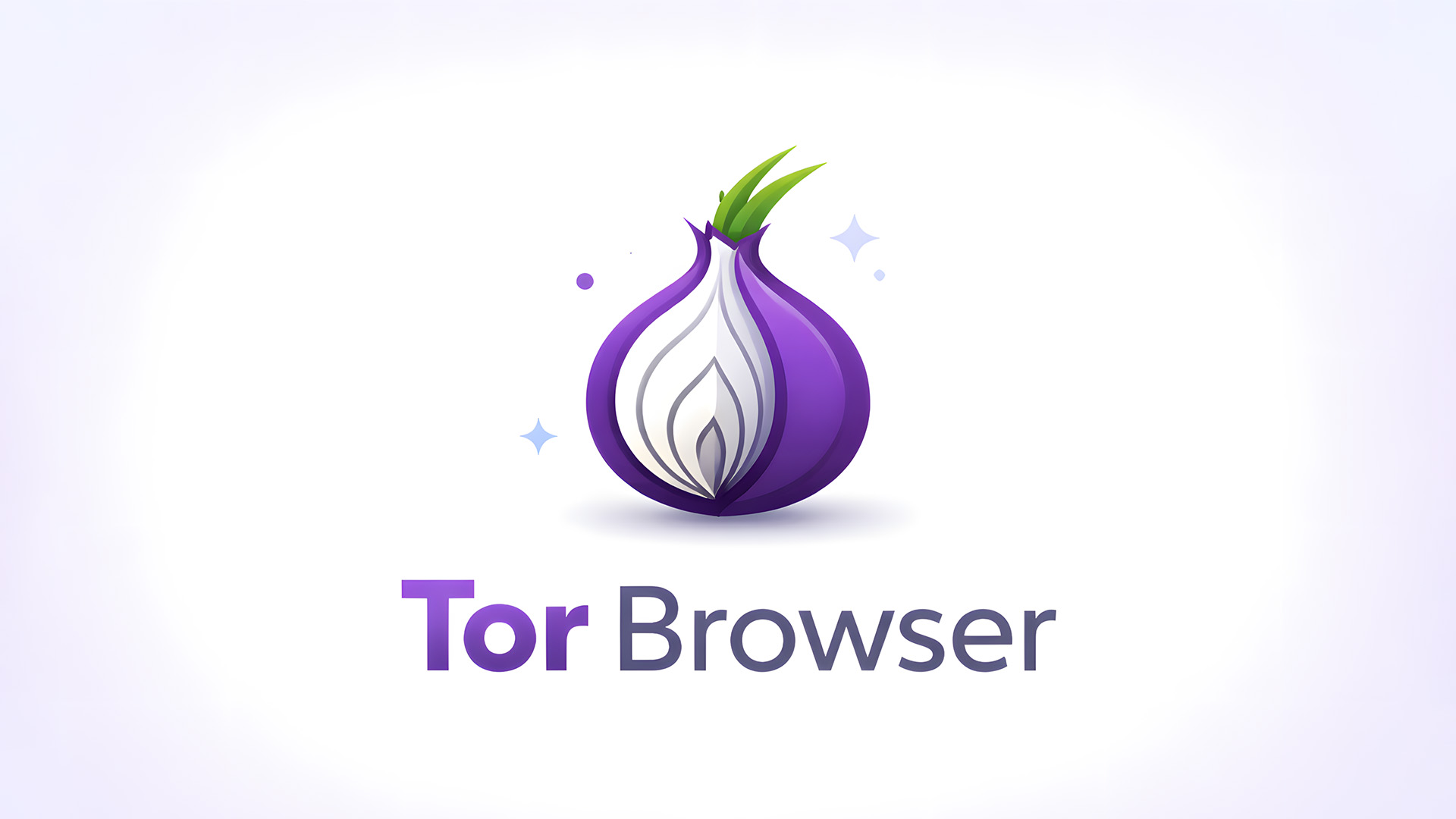 Tor Browser Navegador