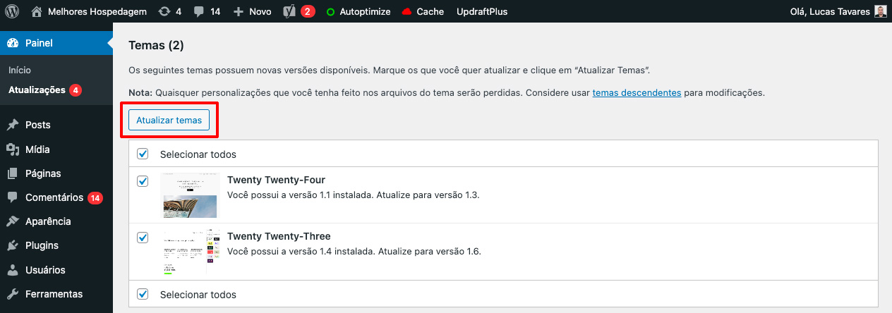 WordPress Atualizar Temas 2