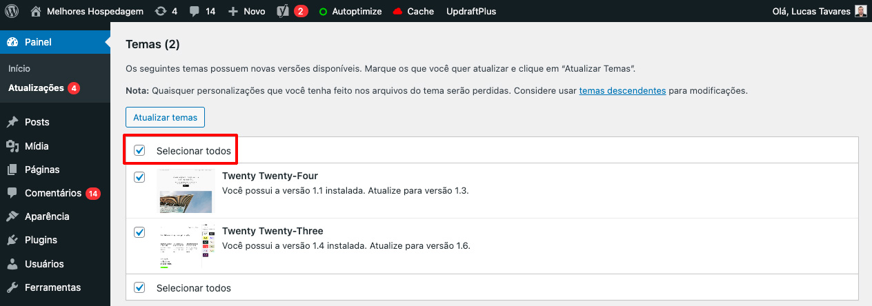 WordPress Atualizar Temas