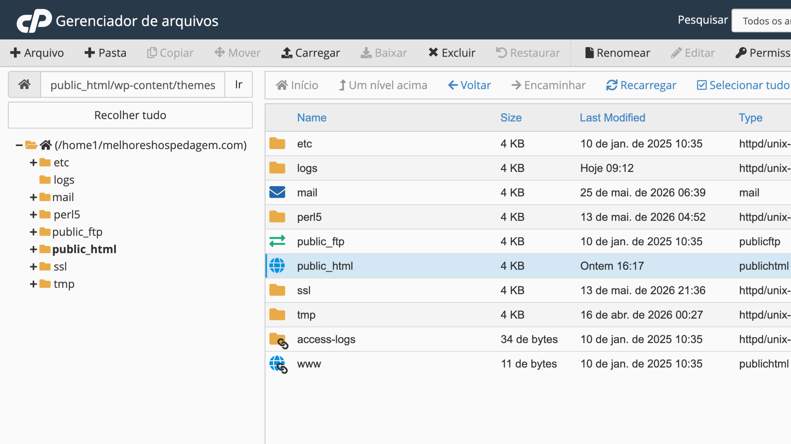 Instalar Tema WordPress via cPanel