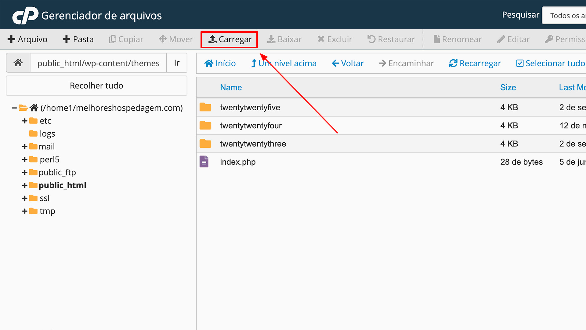 Instalar Tema WordPress via cPanel