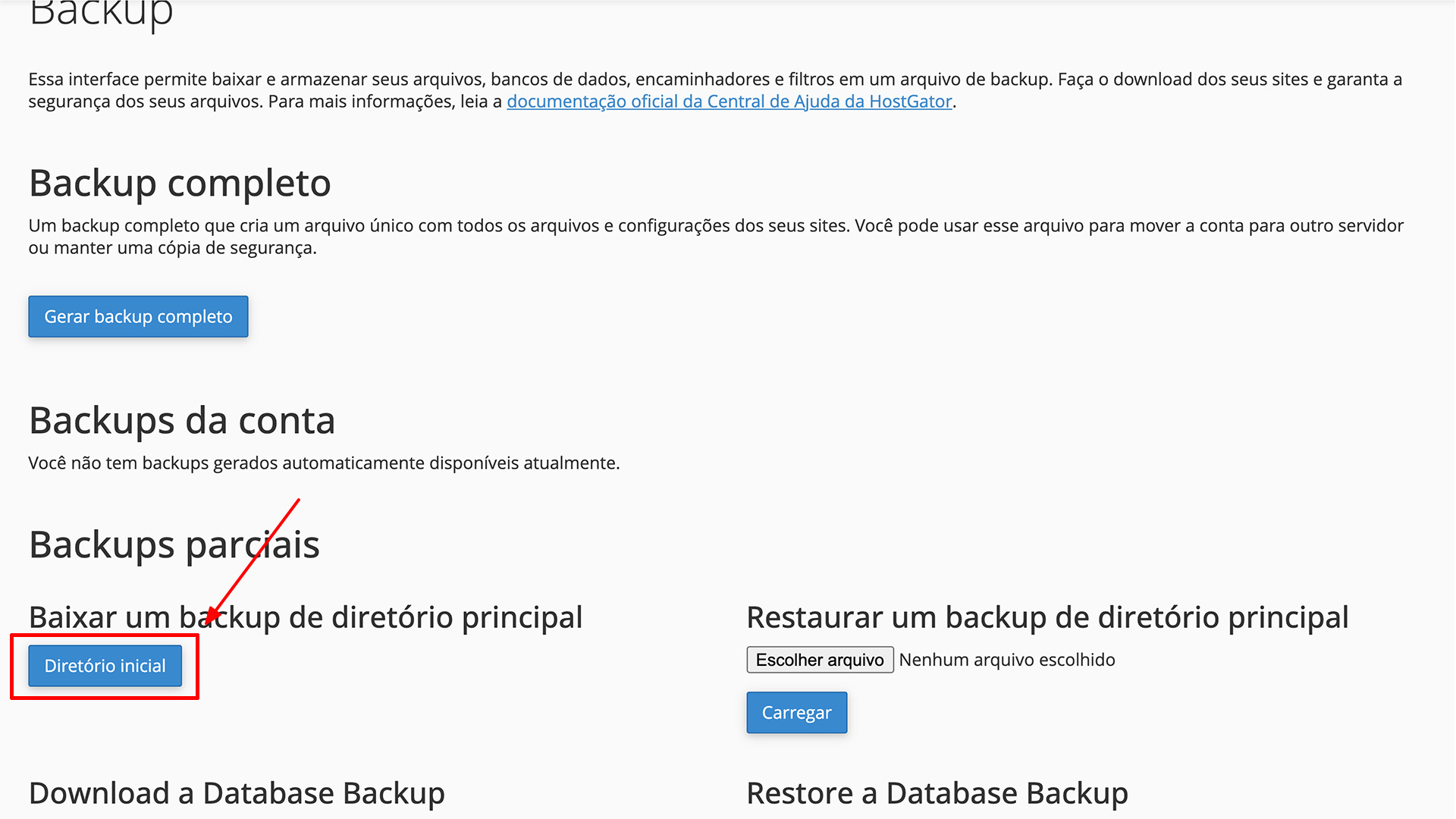 Migrar Site para Hostinger